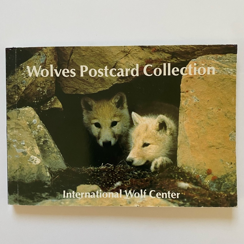 Wolves Postcard Collection Vintage 1990 International Wild Center Set Of  Pics